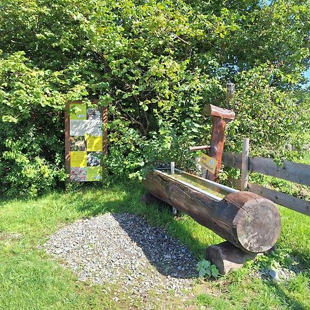 Fewo Allgaeuerle1605 Mit Hallenbad, Sauna, Tiefgarage Und Wlan Missen-Wilhams Exterior photo
